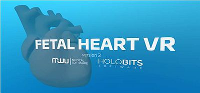 Oculus Quest 游戏《心脏病医学VR》Fetal Heart VR